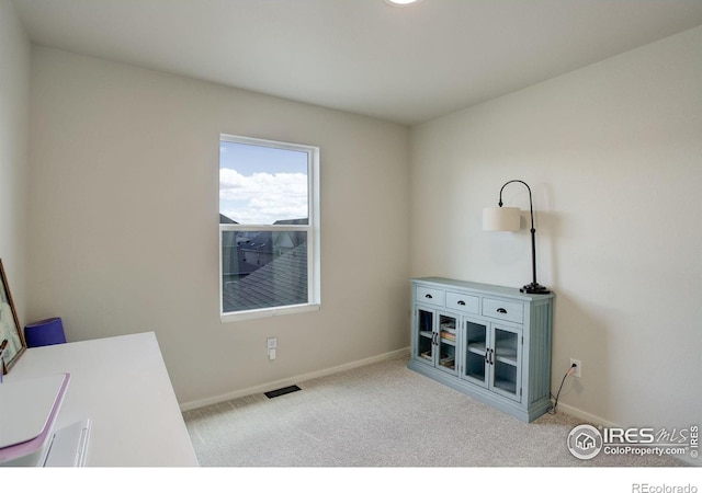5282 Ribault St, Timnath, CO 80547 - unfurnished office featuring carpet and baseboards