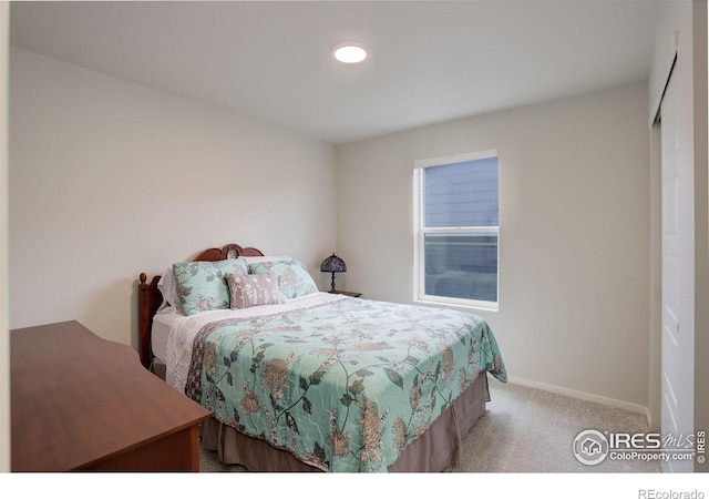 5282 Ribault St, Timnath, CO 80547 - bedroom with carpet floors and baseboards