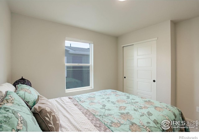 5282 Ribault St, Timnath, CO 80547 - bedroom featuring a closet