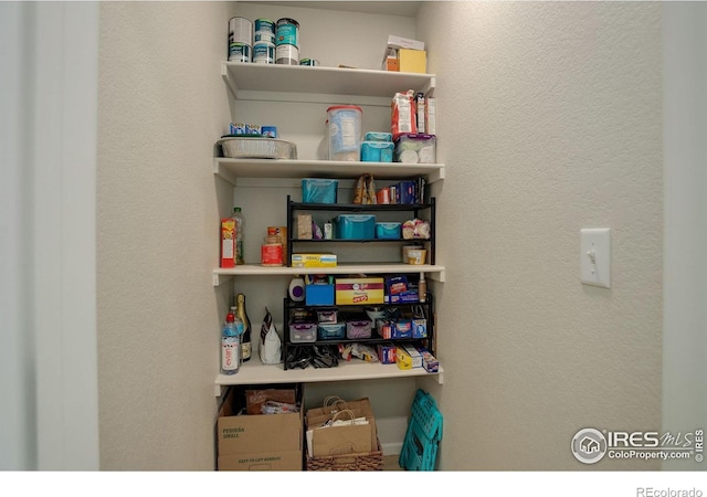 5282 Ribault St, Timnath, CO 80547 - view of storage area