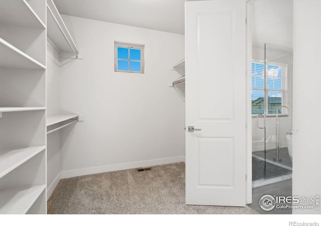 4014 Rock Creek Dr, Fort Collins, CO 80528 - spacious closet with carpet flooring