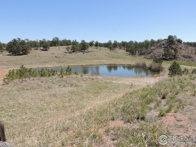 128 Deer Springs Ln, Livermore, CO 80536 - photo 5