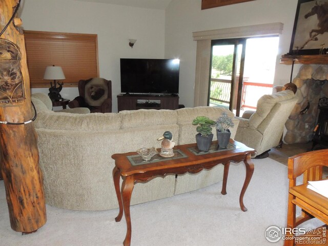 128 Deer Springs Ln, Livermore, CO 80536 - photo 24