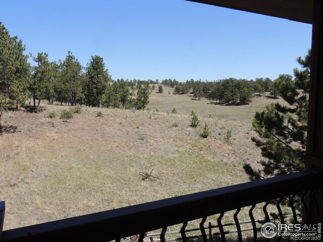 128 Deer Springs Ln, Livermore, CO 80536 - photo 27