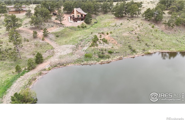 128 Deer Springs Ln, Livermore, CO 80536 - photo 31