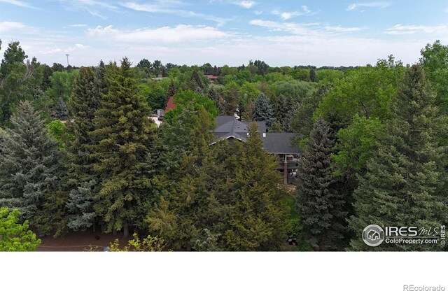 128 Deer Springs Ln, Livermore, CO 80536 - photo 35