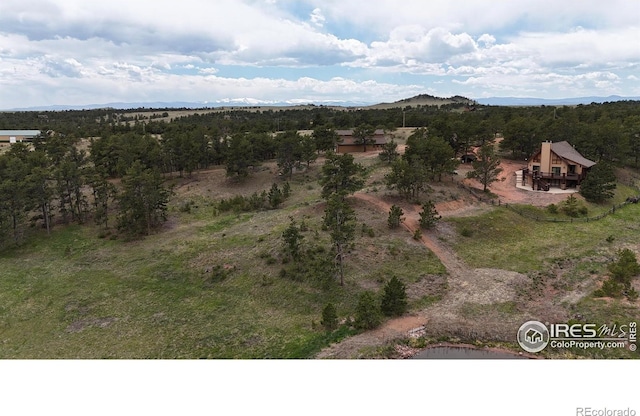 128 Deer Springs Ln, Livermore, CO 80536 - photo 38