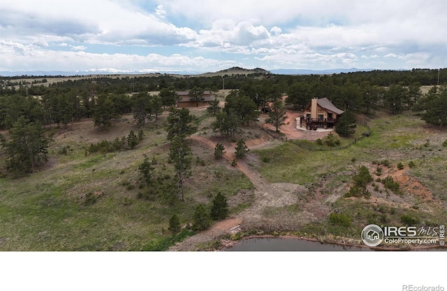128 Deer Springs Ln, Livermore, CO 80536 - photo 39