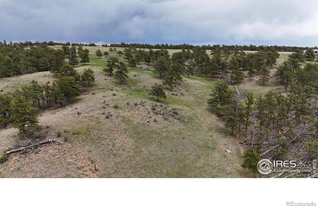 128 Deer Springs Ln, Livermore, CO 80536 - photo 36