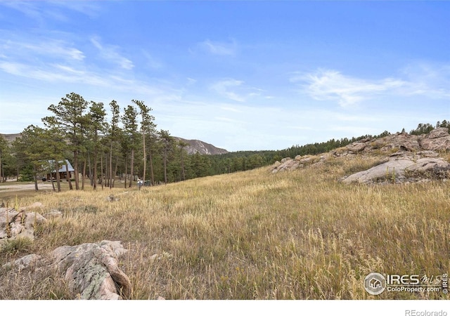 250 El Arbol Dr, Bellvue, CO 80512