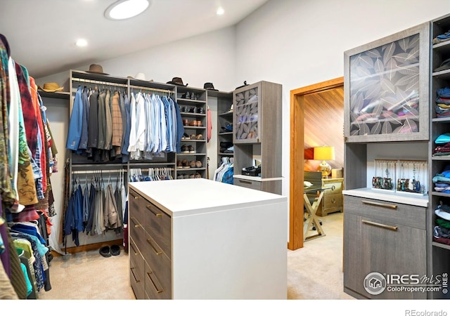 3746 Wonderland Hill Ave, Boulder, CO 80304 - walk in closet with lofted ceiling and light carpet