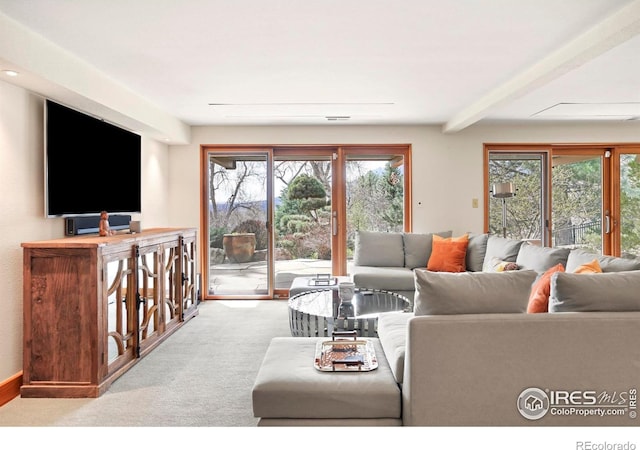 3746 Wonderland Hill Ave, Boulder, CO 80304 - carpeted living area featuring healthy amount of natural light and beamed ceiling