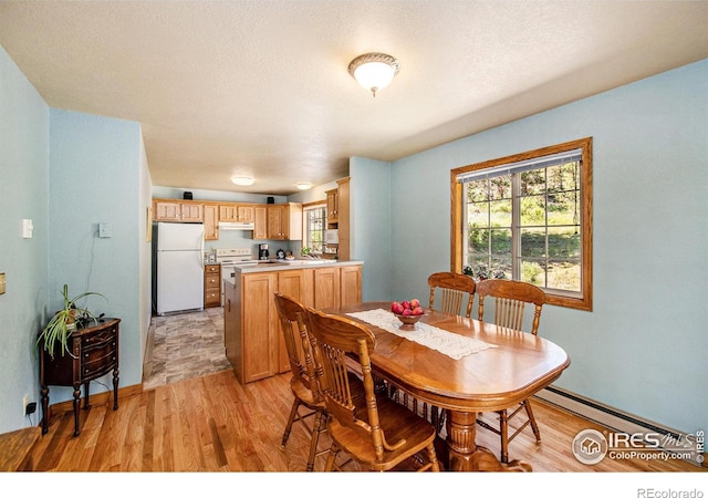 60 Horn Peak Dr, Livermore, CO 80536 - dining room featuring light wood-style flooring, baseboards, and a baseboard radiator