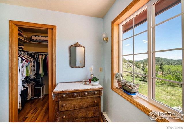 60 Horn Peak Dr, Livermore, CO 80536 - bathroom featuring healthy amount of natural light, a baseboard radiator, and wood finished floors