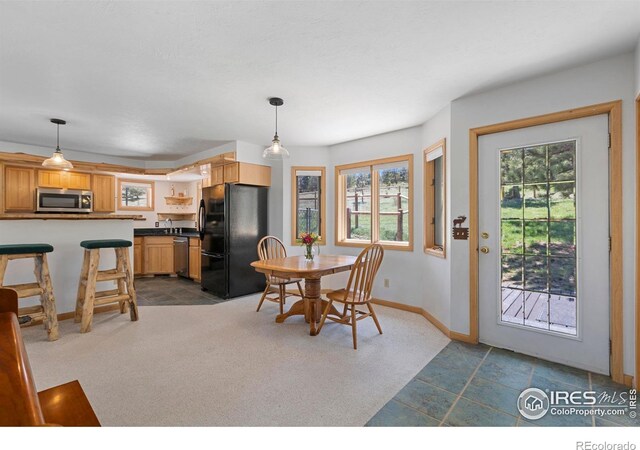 636 Cucharas Mountain Dr, Livermore, CO 80536 - photo 9