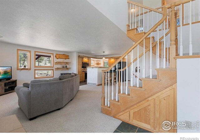 636 Cucharas Mountain Dr, Livermore, CO 80536 - photo 10