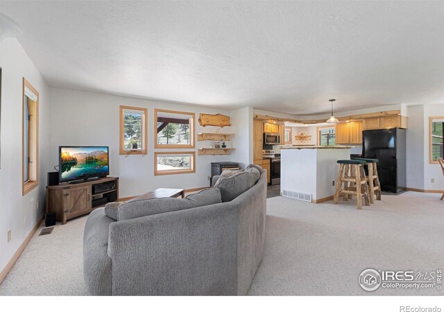 636 Cucharas Mountain Dr, Livermore, CO 80536 - photo 11