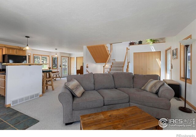 636 Cucharas Mountain Dr, Livermore, CO 80536 - photo 12