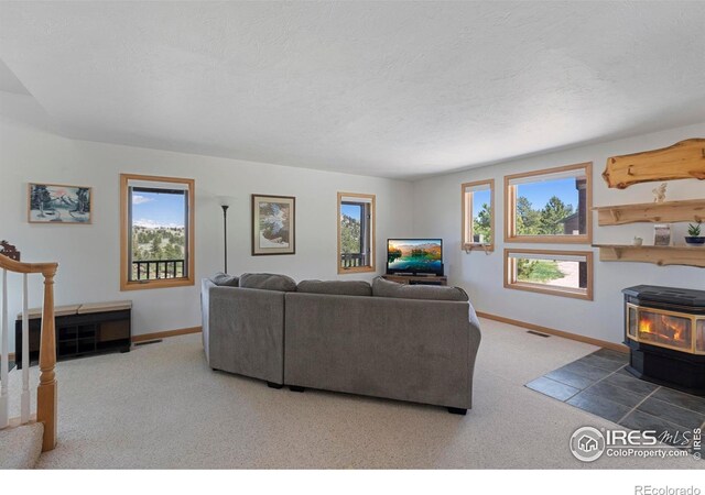 636 Cucharas Mountain Dr, Livermore, CO 80536 - photo 13
