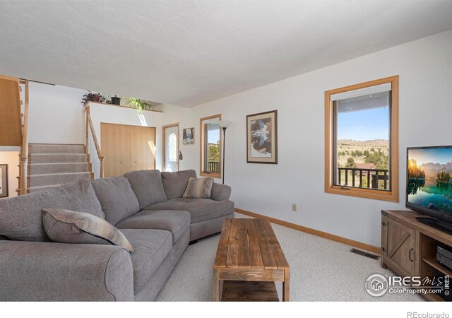 636 Cucharas Mountain Dr, Livermore, CO 80536 - photo 14