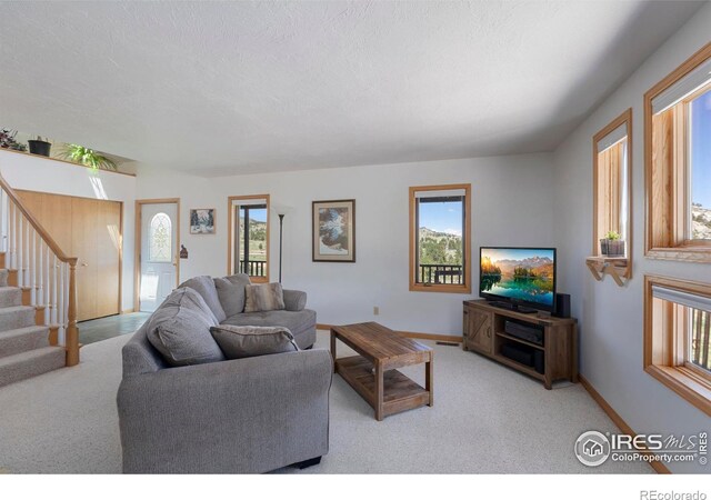 636 Cucharas Mountain Dr, Livermore, CO 80536 - photo 15