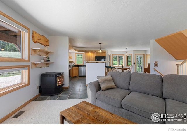 636 Cucharas Mountain Dr, Livermore, CO 80536 - photo 17