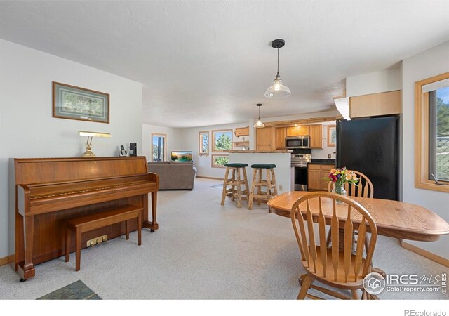 636 Cucharas Mountain Dr, Livermore, CO 80536 - photo 22
