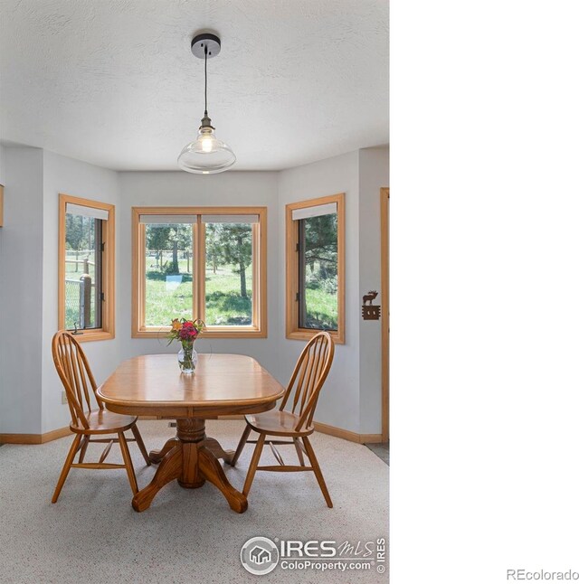 636 Cucharas Mountain Dr, Livermore, CO 80536 - photo 23