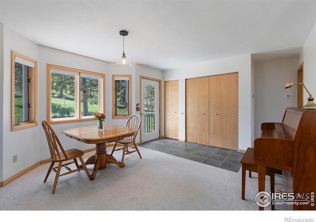 636 Cucharas Mountain Dr, Livermore, CO 80536 - photo 24