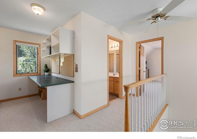 636 Cucharas Mountain Dr, Livermore, CO 80536 - photo 31
