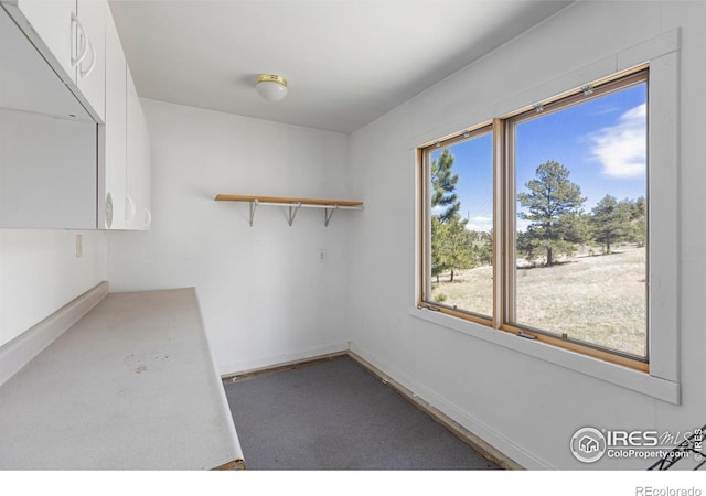 636 Cucharas Mountain Dr, Livermore, CO 80536 - photo 36