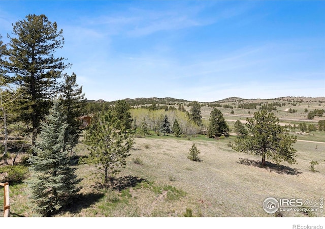 636 Cucharas Mountain Dr, Livermore, CO 80536 - photo 38