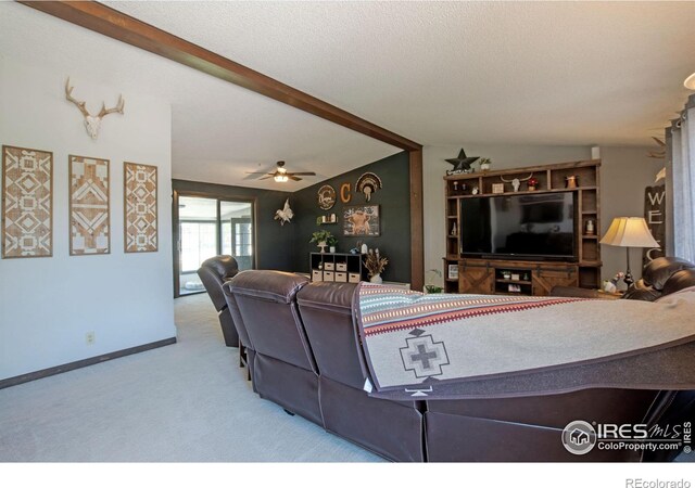45313 County Road 41, Pierce, CO 80650 - photo 10