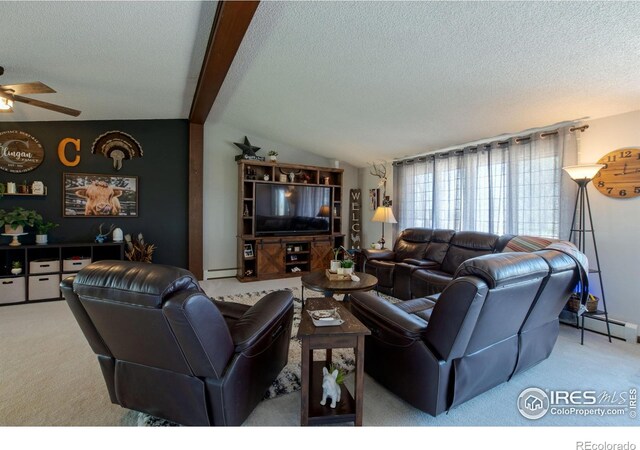45313 County Road 41, Pierce, CO 80650 - photo 11