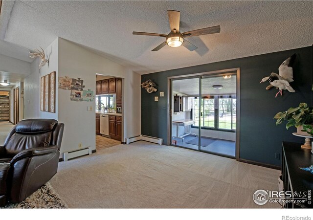 45313 County Road 41, Pierce, CO 80650 - photo 13