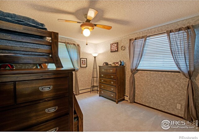 45313 County Road 41, Pierce, CO 80650 - photo 16
