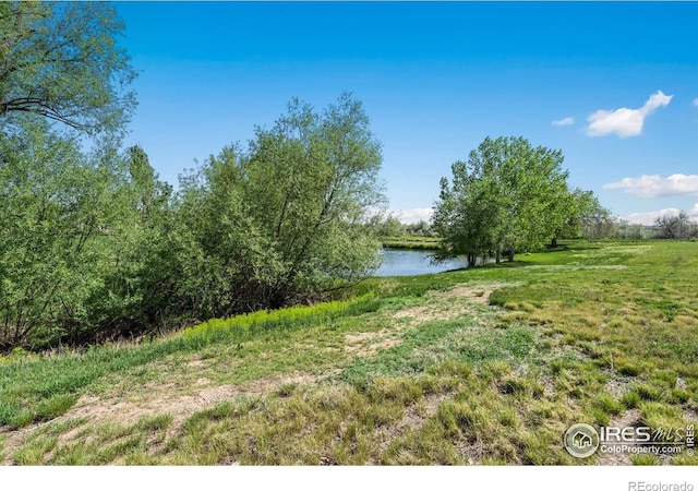 5416 S County Road 7, Fort Collins, CO 80528 - photo 9