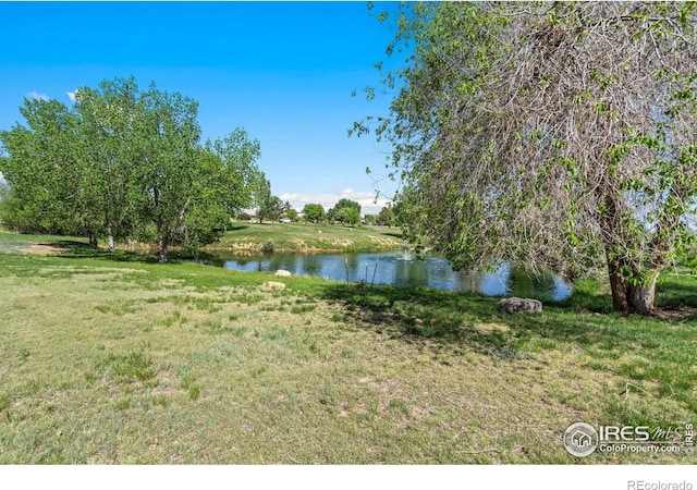 5416 S County Road 7, Fort Collins, CO 80528 - photo 16