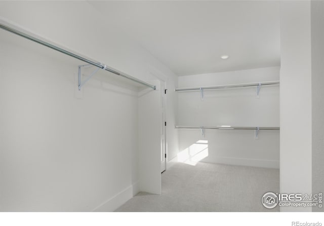 1591 Poplar Dr, Erie, CO 80516 - photo 15