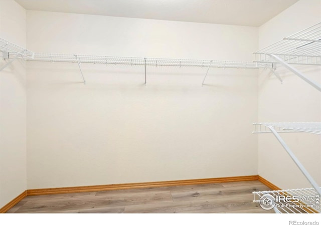 4603 Dusty Sage Ct Unit 4, Fort Collins, CO 80526 - walk in closet with light wood finished floors