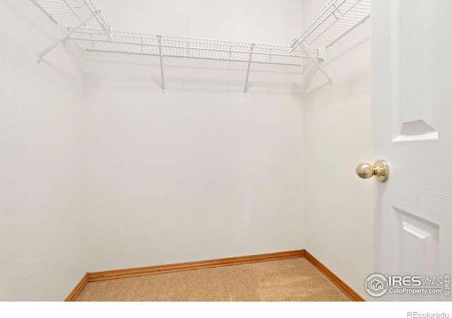 4603 Dusty Sage Ct Unit 4, Fort Collins, CO 80526 - walk in closet featuring light colored carpet