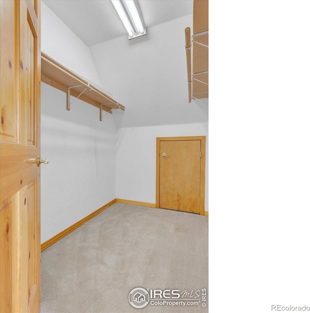 65 La Chula Rd, Black Hawk, CO 80422 - spacious closet with carpet floors and vaulted ceiling