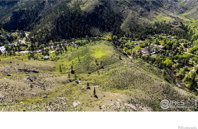0 Wild River Rd, Bellvue, CO 80512