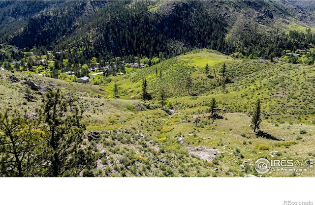 0 Wild River Rd, Bellvue, CO 80512