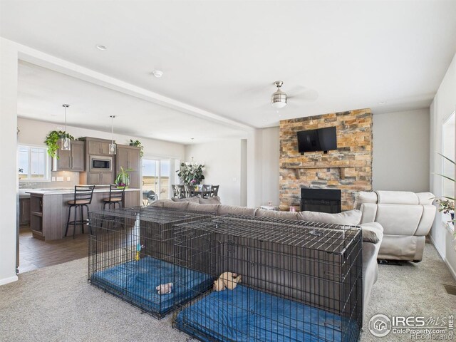 32208 County Road 89, Briggsdale, CO 80611 - photo 14
