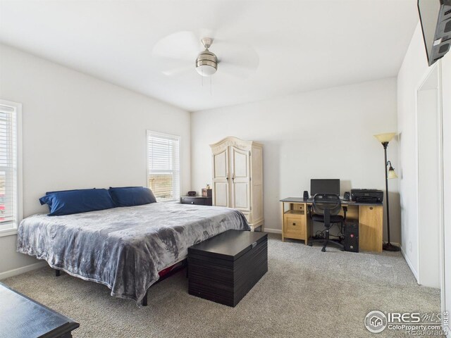 32208 County Road 89, Briggsdale, CO 80611 - photo 15