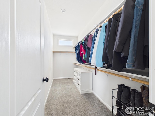 32208 County Road 89, Briggsdale, CO 80611 - photo 22