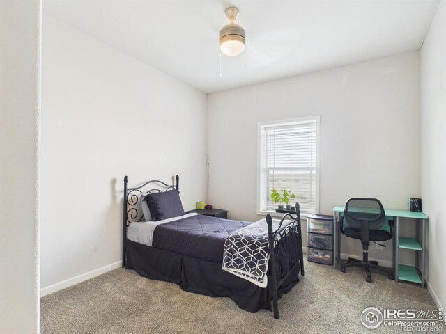 32208 County Road 89, Briggsdale, CO 80611 - photo 31