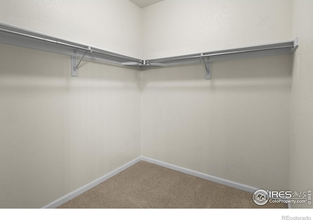 walk in closet with carpet flooring