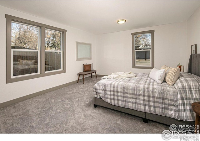 527 S Bryan Ave, Fort Collins, CO 80521 - carpeted bedroom featuring baseboards